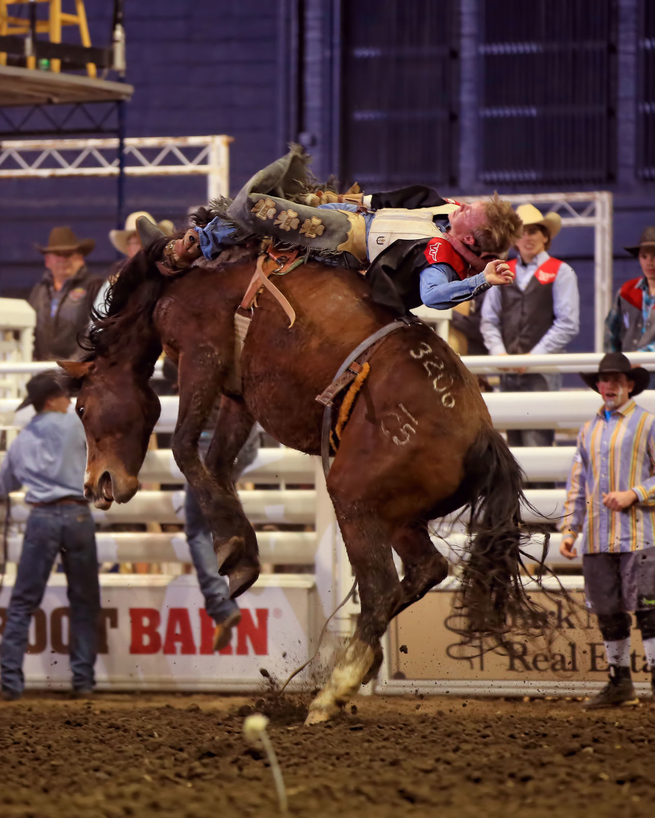 Cole Snider, Montana Western rodeo